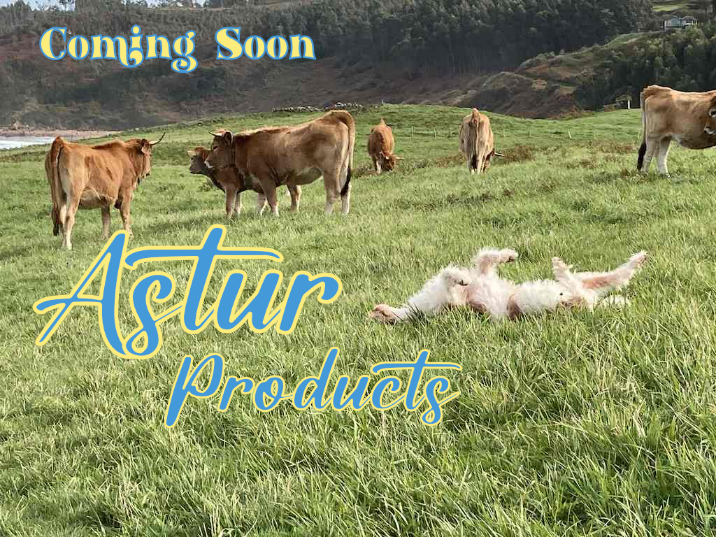 Asturproducts - Coming Soon